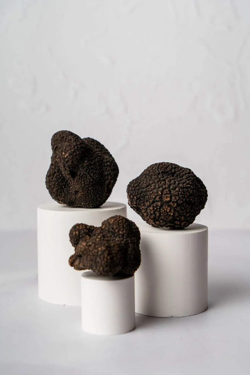 Freshly harvested Tuber melanosporum black truffle on natural soil background, illustrating premium provenance