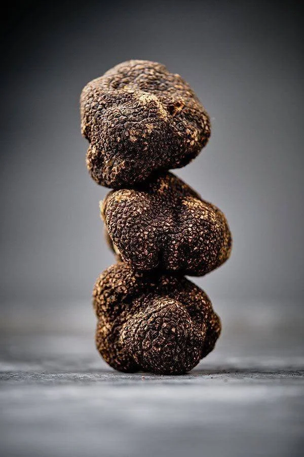 How to Authenticate Premium Truffles: The Science of Provenance, Fraud Detection, and Ethical Sourcing