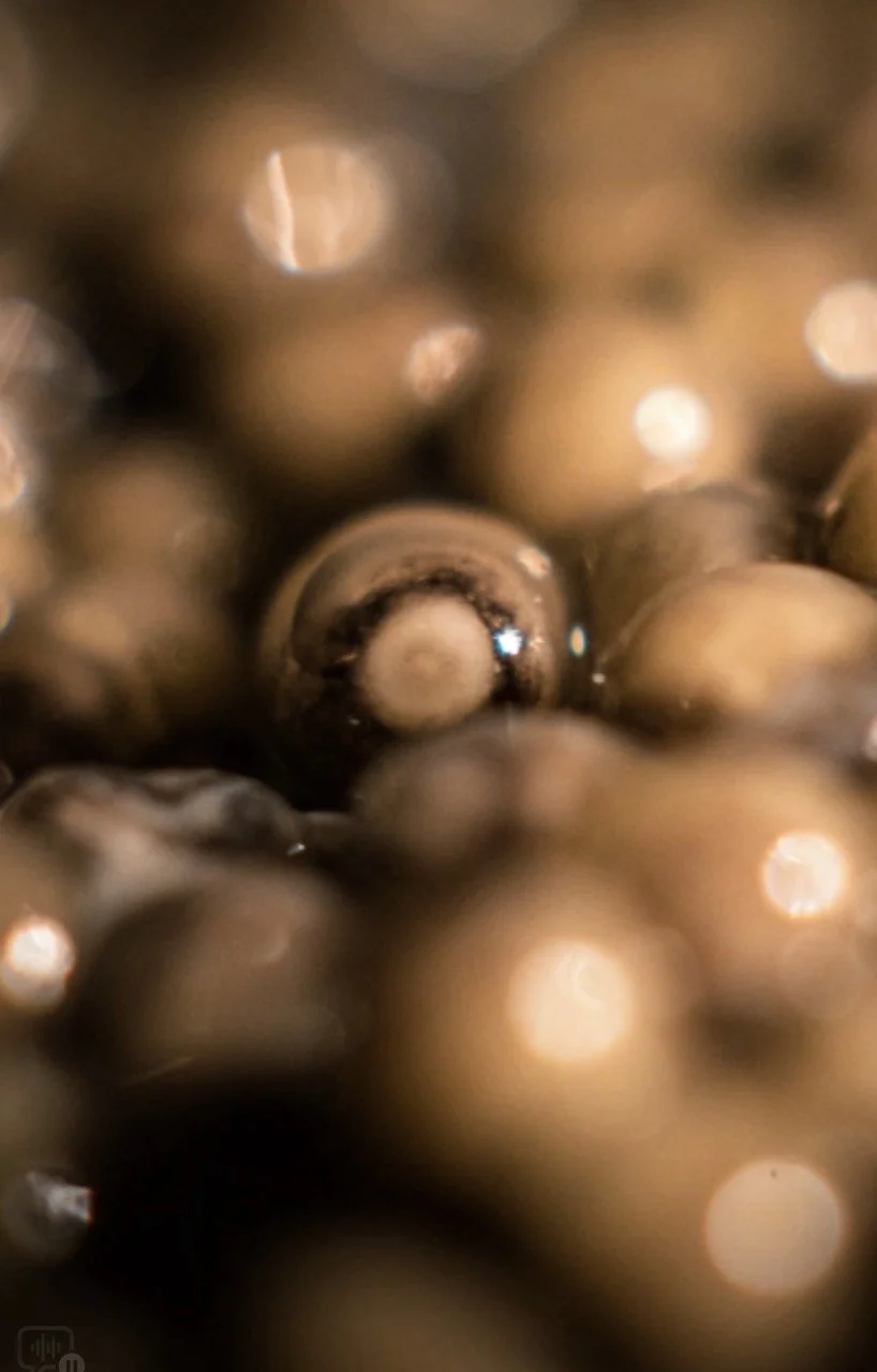 The Conscious Connoisseur’s Guide to Choosing Sustainable Caviar in 2026