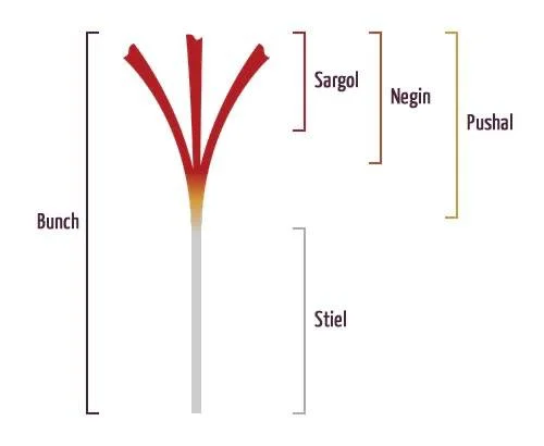 How to Verify Authentic Saffron Before You Buy: A Luxury Connoisseur’s Guide to Grade, Provenance and Purity