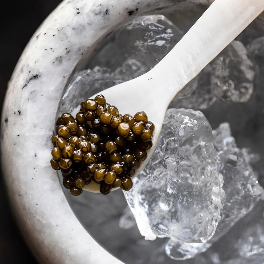 Caviar Serving Caviar Serving